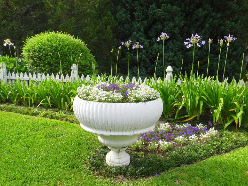 Pousada Jardim Azul Canela Extérieur photo